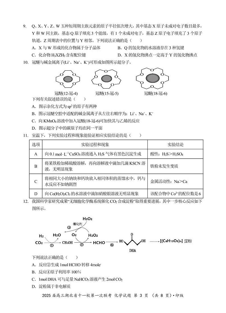 2025届高三湖北省十一校第一次联考化学试题第3页