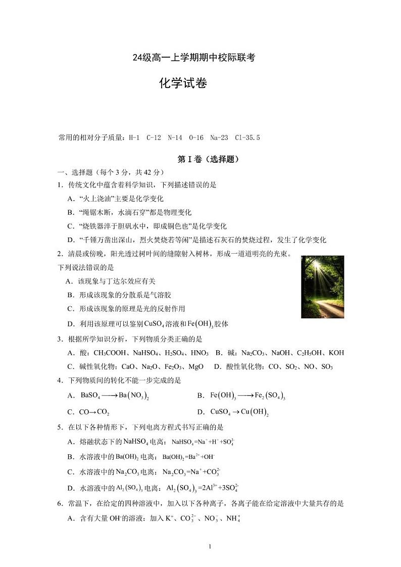 仁寿县24级高一上学期期中校际联考化学试卷第1页