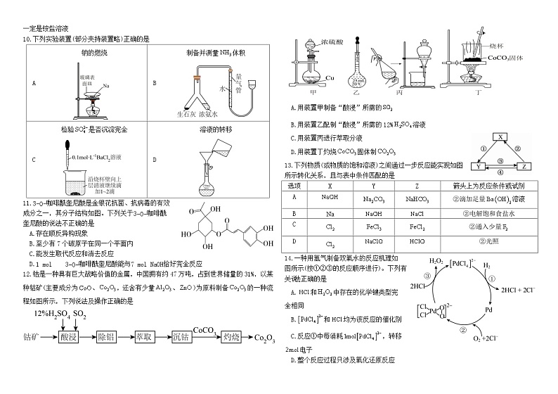 黑龙江省哈尔滨师范大学青冈实验中学校2025届高三上学期期中考试化学试题第2页