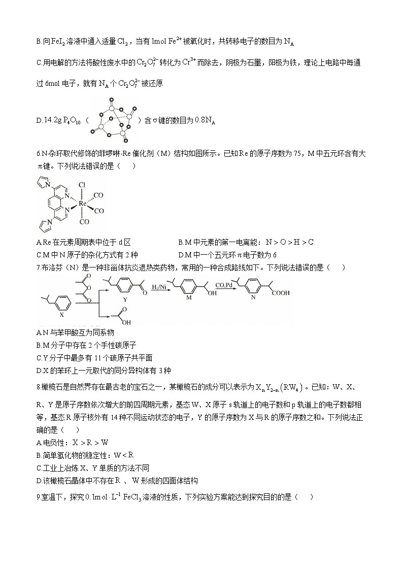 2025河北省十县联考高三上学期11月期中考试化学无答案第2页