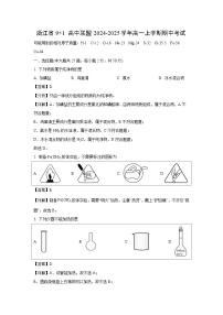 2024~2025学年浙江省9+1 高中联盟高一上学期期中考试化学试卷(解析版)