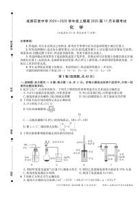 化学丨四川省成都市石室中学2025届高三11月期中考试化学试卷及答案