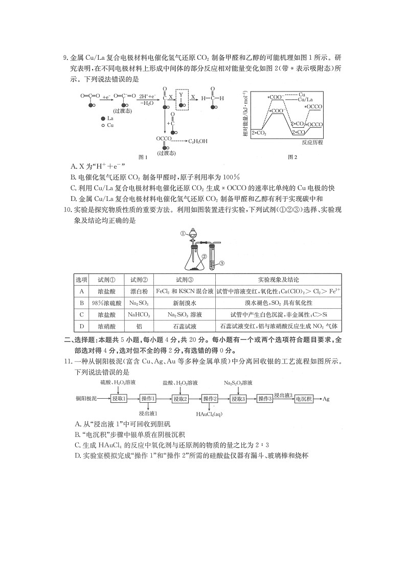 2025届8河南省新乡市名校高三(上)阶段性诊断测试期中联考(图片版)化学试卷第3页