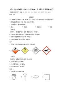 2024-2025学年浙江省金砖联盟高一(上)11月期中考试化学试卷(解析版)
