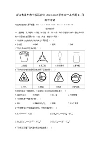 2024-2025学年浙江省温州市十校联合体高一(上)11月期中考试化学试卷