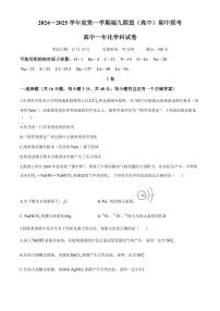 福建省福州市福九联盟2024-2025学年高一上学期期11月中考试 化学试题
