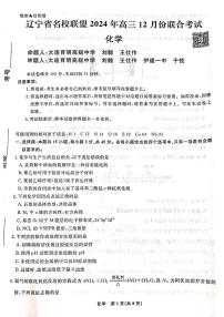 辽宁省名校联盟2024-2025学年高三上学期12月月考化学试卷