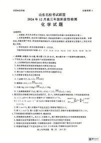 山东省济南市名校考试联盟2024-2025学年高三上学期12月月考 化学试题
