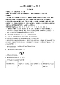 广西壮族自治区贵港市2024-2025学年高三上学期11月月考化学试题（Word版附答案）