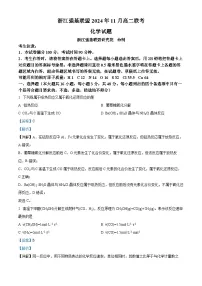 浙江省强基联盟2024-2025学年高二上学期11月期中联考化学试题（Word版附解析）