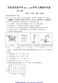 2024～2025学年河南省实验中学高一(上)期中化学试卷(含答案)