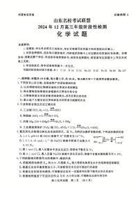 山东省名校考试联盟2025届高三上学期12月全省阶段性检测-化学试卷+答案