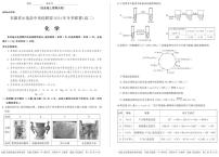 安徽省示范高中培优联盟2024年高二上学期12月冬季联赛化学试题+答案