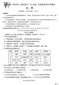 广西“贵百河—武鸣高中”2024-2025学年高一上学期12月新高考月考 化学试题