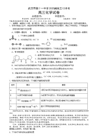 湖北省武汉市第十一中学2024-2025学年高三上学期12月月考化学试卷（Word版附答案）