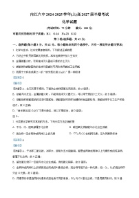 四川省内江市第六中学2024-2025学年高一上学期11月期中考试化学试卷（Word版附解析）
