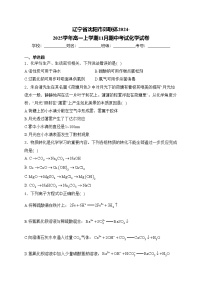 辽宁省沈阳市郊联体2024-2025学年高一上学期11月期中考试化学试卷(含答案)