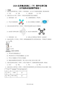 2024北京重点校高二（下）期中真题化学汇编：分子结构与性质章节综合1