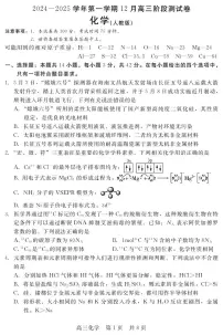 河北省新时代NT教育2025届高三上学期12月阶段测试-化学试卷+答案