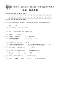 2025广西壮族自治区“贵百河-武鸣高中”高一上学期12月月考试题化学PDF版含答案