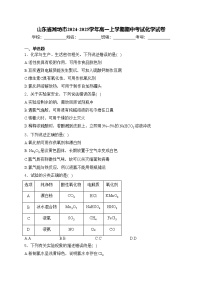 山东省潍坊市2024-2025学年高一上学期期中考试化学试卷(含答案)