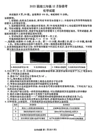 广东衡水金卷2025届高三12月联考化学试题（含答案）