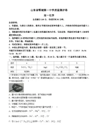 山东省菏泽市郓城第一中学2024-2025学年高一上学期12月月考化学试题(含答案)