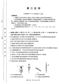 2024年广东高三11月联考 化学试题（含答案）