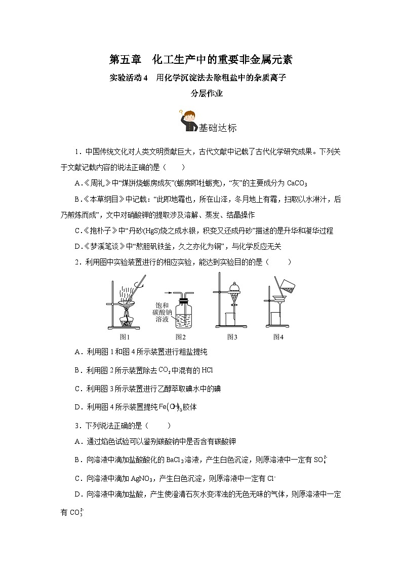 人教版(2019)高中化学必修二实验活动4 用化学沉淀法去除粗盐中的杂质离子 分层练习(原卷)第1页