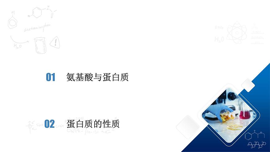 人教版（2019）高中化學必修二7.4.2 蛋白質(zhì) 課件第2頁