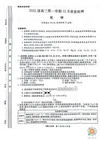 2025届河南名校联盟高三上学期12月联考化学试题+答案