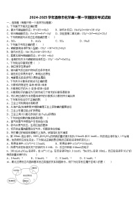 甘肃省酒泉2024-2025学年高一上学期期末考试 化学试题