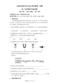 上海市洋泾中学2023-2024学年高一下学期期中考试化学试卷