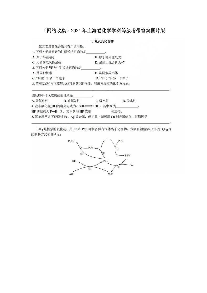 2024年新高考上海卷 化学高考真题（网络收集版）