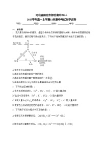 河北省保定市部分高中2024-2025学年高一上学期11月期中考试化学试卷(含答案)
