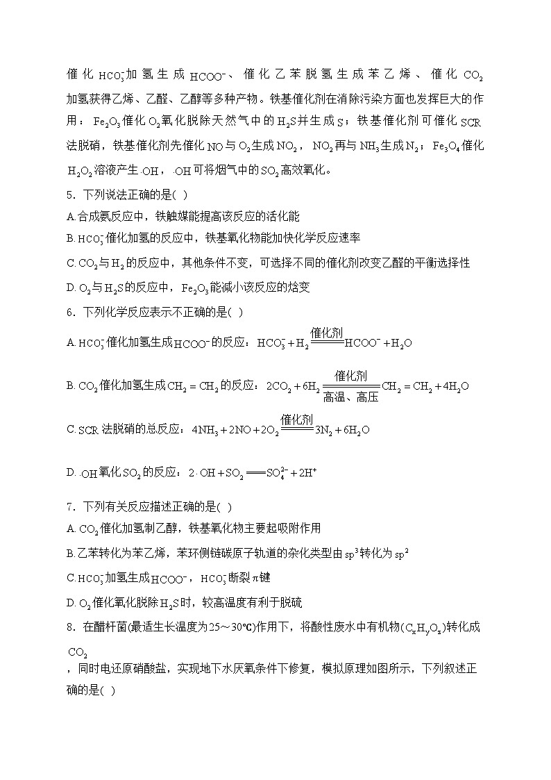 江苏省部分校2024-2025学年高三上学期12月质量测试化学试卷(含答案)第2页