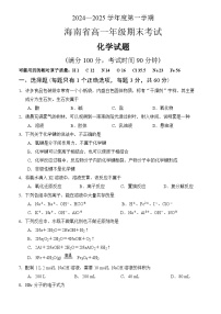 海南省2024-2025学年高一上学期期末模拟考试 化学试题