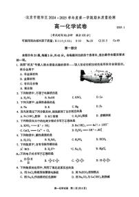 北京市朝陽區(qū)2024-2025學(xué)年高一上學(xué)期期末質(zhì)量檢測化學(xué)試題