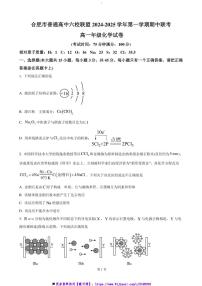 2024~2025学年安徽省合肥市普通高中六校联盟高一上期中化学试卷(含答案)