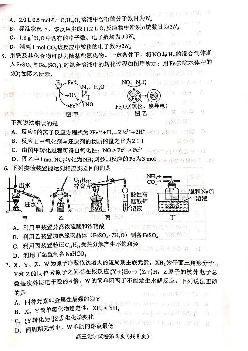 河北省保定市2024-2025学年高三上学期期末调研考试化学试题第2页