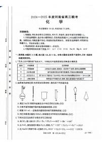 河南省驻马店市2024-2025学年高三上学期12月期末联考化学试题（PDF版附解析）