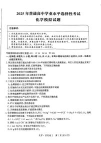 2025年普通高中学业水平选择性考试化学模拟试题