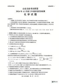 山东省济南市名校考试联盟2024-2025学年高三上学期12月月考 化学试题