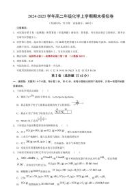 2024~2025学年高二上学期化学期末模拟卷（新高考“14+4”）