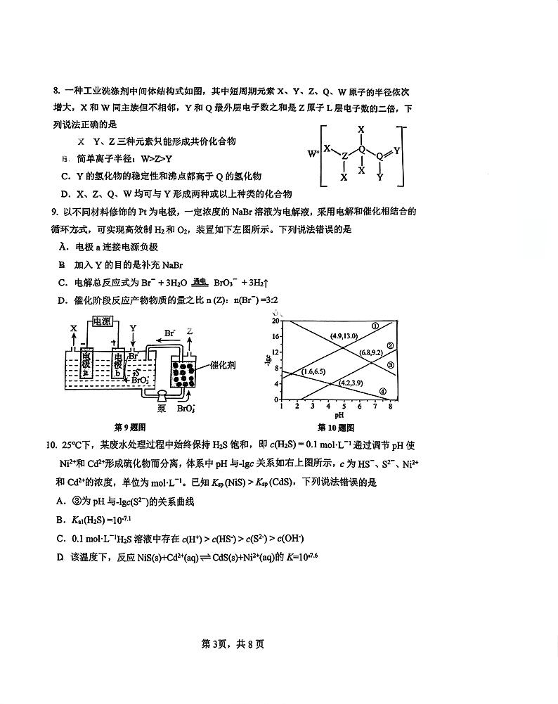 福建省厦门第一中学2024-2025学年高三上学期12月月考化学试题PDF版含答案第3页