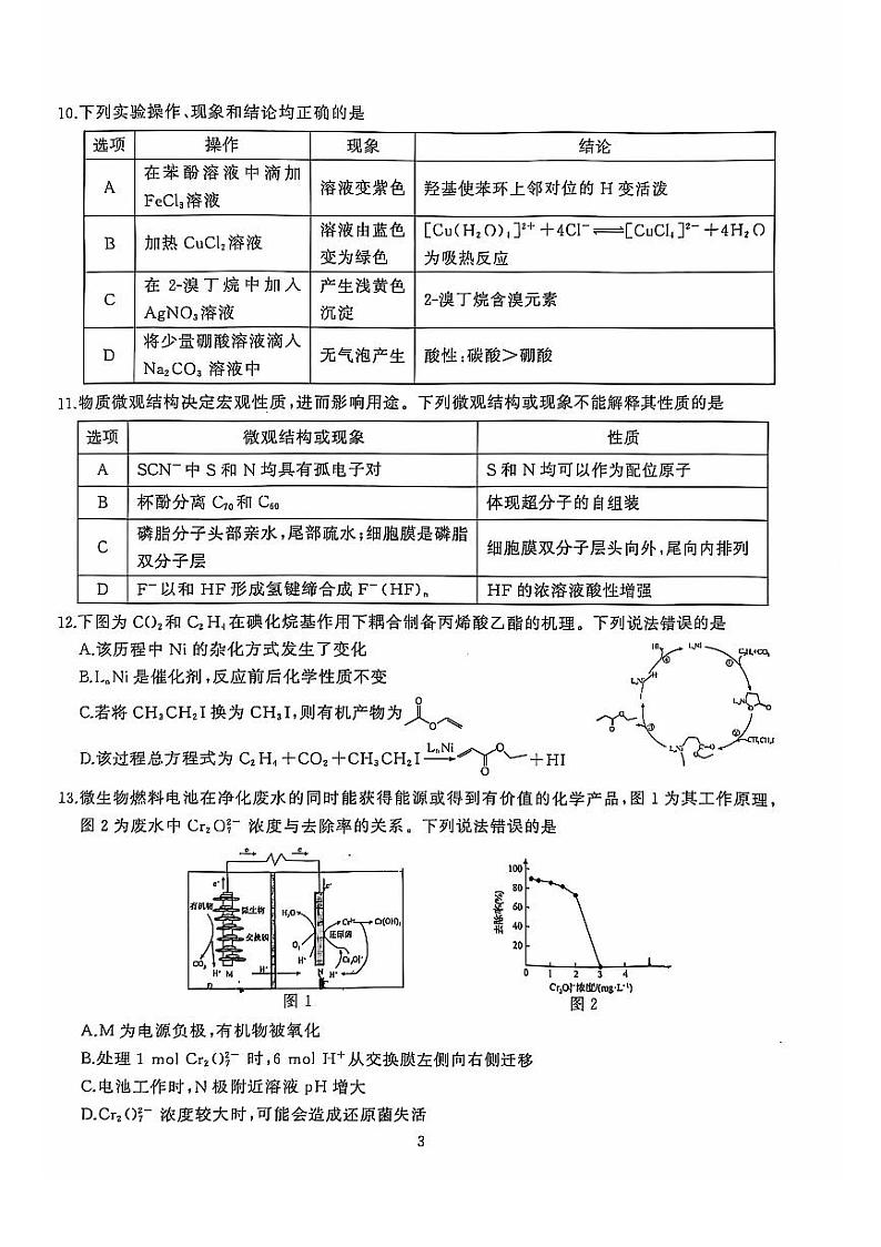 湖北省武汉市重点高中2024-2025学年高三上学期11月调考化学试题PDF版含答案第3页