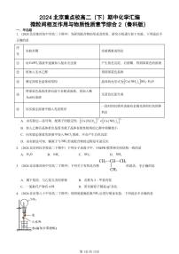 2024北京重点校高二(下)期中真题化学汇编:微粒间相互作用与物质性质章节综合2(鲁科版)