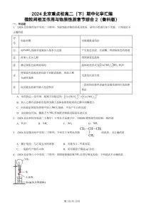 2024北京重点校高二(下)期中真题化学汇编:微粒间相互作用与物质性质章节综合2(鲁科版)