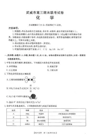 甘肃省武威市2024-2025学年高三上学期期末联考化学试卷