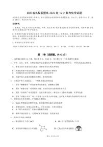 四川省名校联盟高2025届高三上学期12月联考-化学试卷+答案